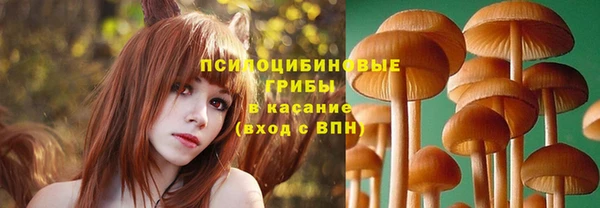 молекула духа Козельск