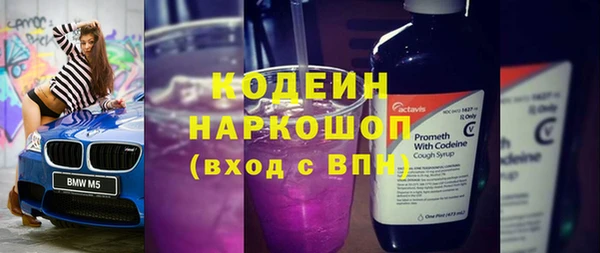 молекула духа Козельск