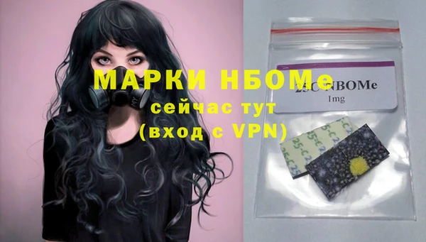 молекула духа Козельск