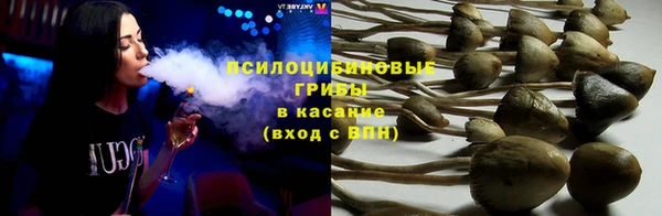 молекула духа Козельск