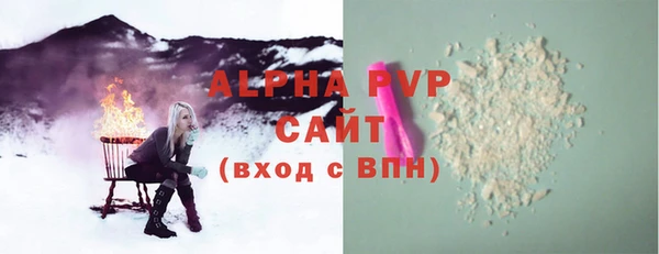 молекула духа Козельск