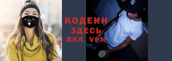 молекула духа Козельск