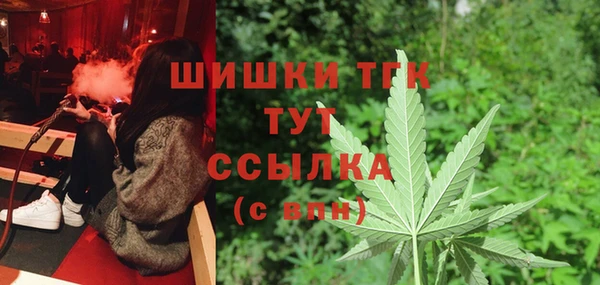 молекула духа Козельск
