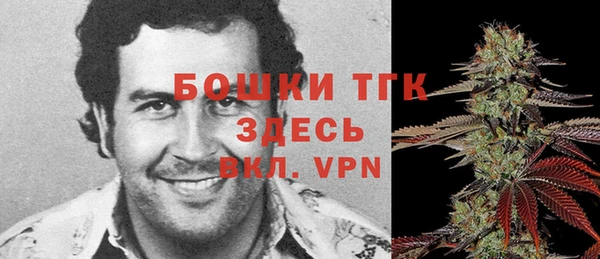 mdpv Козловка