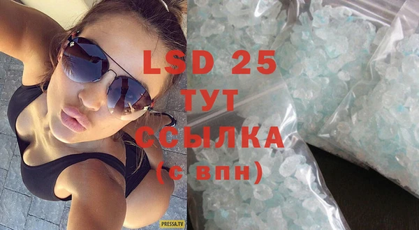 молекула духа Козельск
