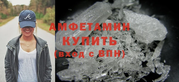 молекула духа Козельск
