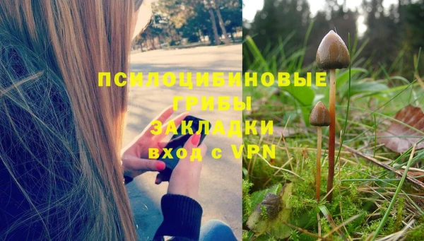 гашиш Кодинск