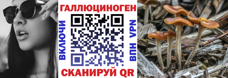 Купить закладки  Санкт-Петербург  Галлюциногенные грибы прущие грибы 