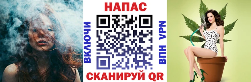 Шишки марихуана Bruce Banner  Купить где  Санкт-Петербург 